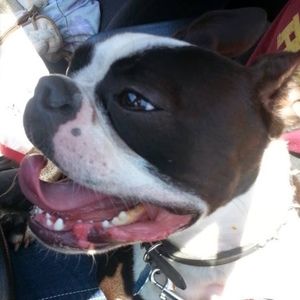 Meet your Posher, Cory